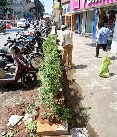 KEDARESHWAR NURSERY