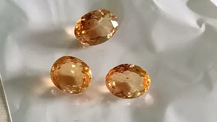 श्री ज्योतिष कार्यालय pramod josshhi(guruji)